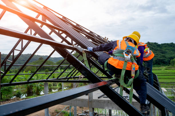 Quick and Trustworthy Emergency Roof Repair Services in La Grange Park, IL