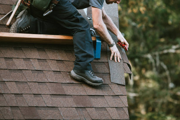 Best Storm Damage Roof Repair  in La Grange Park, IL
